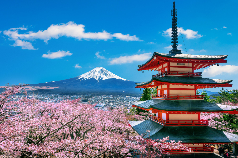 Fuji Mountain